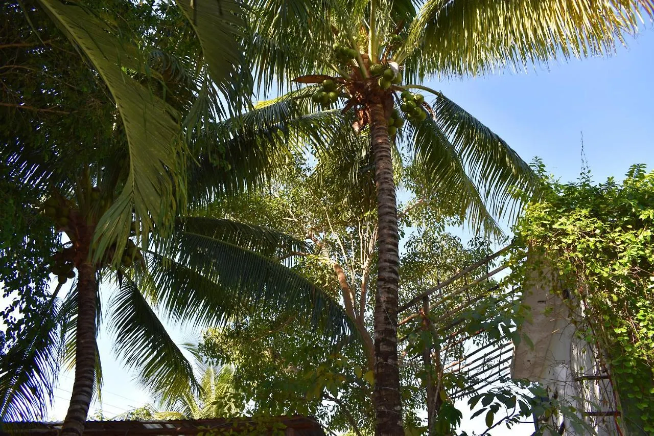 Bed and breakfast Lobo Inn Tulum