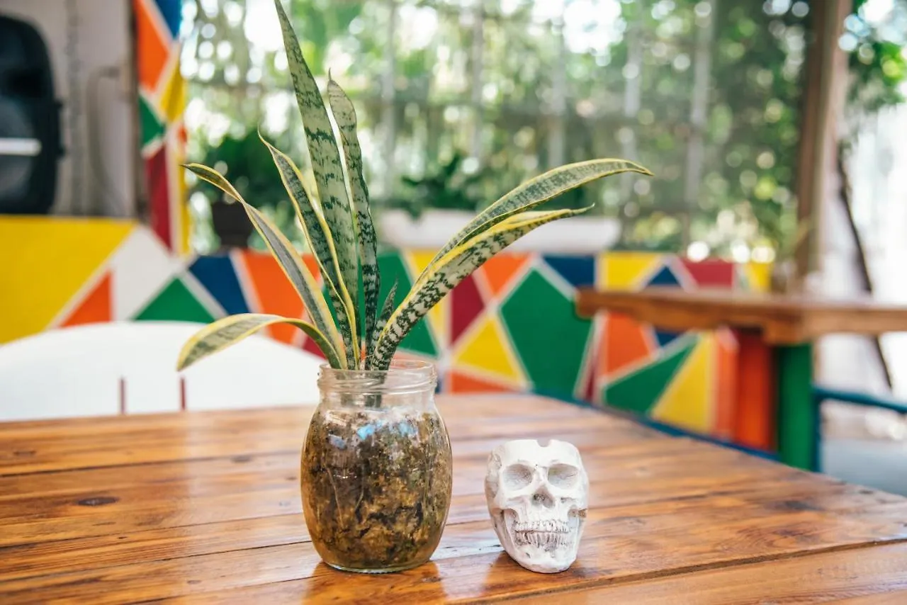 Lobo Inn Tulum 2*,  México