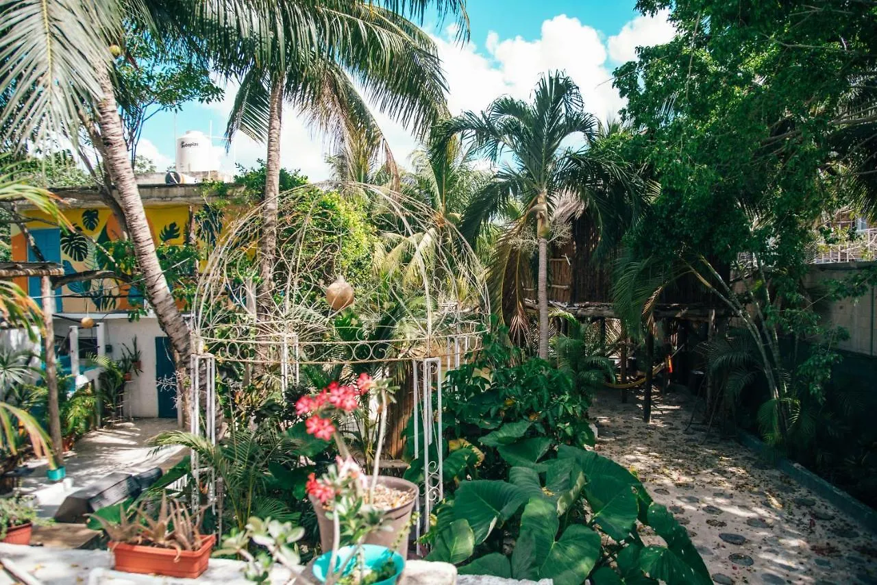 ** Bed and breakfast Lobo Inn Tulum México